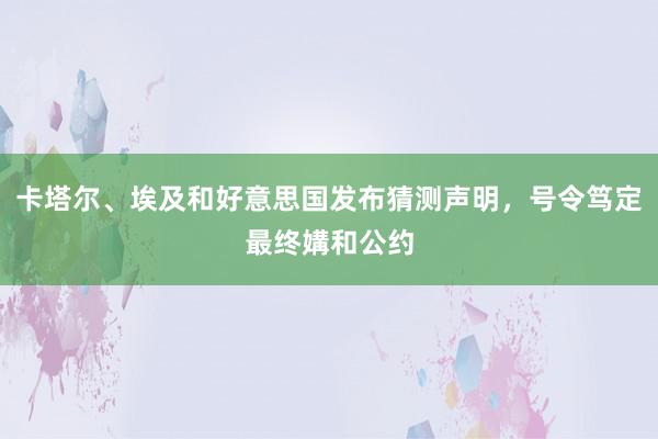 卡塔尔、埃及和好意思国发布猜测声明，号令笃定最终媾和公约