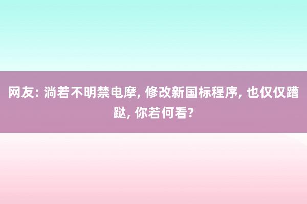 网友: 淌若不明禁电摩, 修改新国标程序, 也仅仅蹧跶, 你若何看?