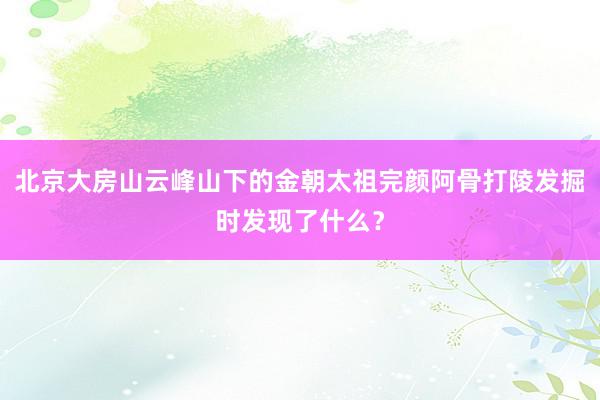 北京大房山云峰山下的金朝太祖完颜阿骨打陵发掘时发现了什么？