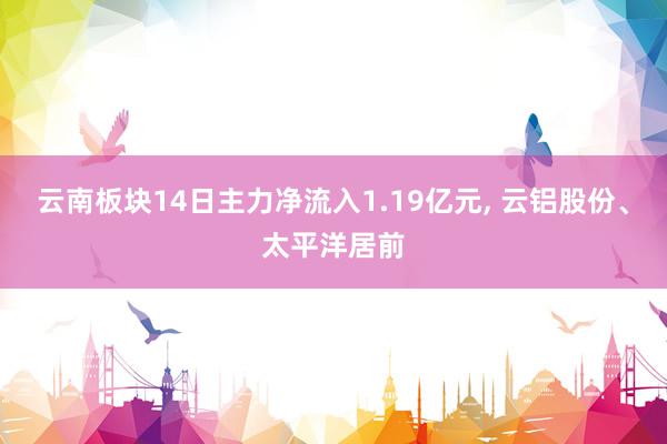 云南板块14日主力净流入1.19亿元, 云铝股份、太平洋居前