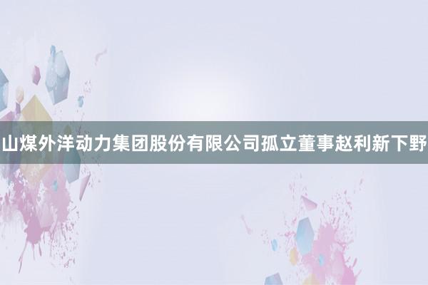 山煤外洋动力集团股份有限公司孤立董事赵利新下野