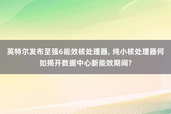 英特尔发布至强6能效核处理器, 纯小核处理器何如揭开数据中心新能效期间?