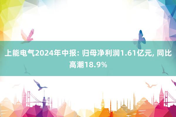 上能电气2024年中报: 归母净利润1.61亿元, 同比高潮18.9%