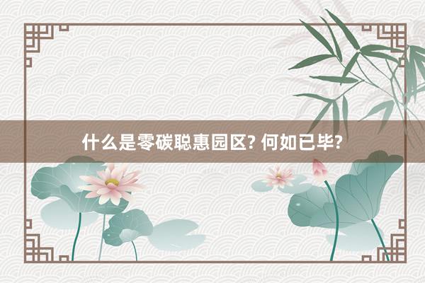 什么是零碳聪惠园区? 何如已毕?