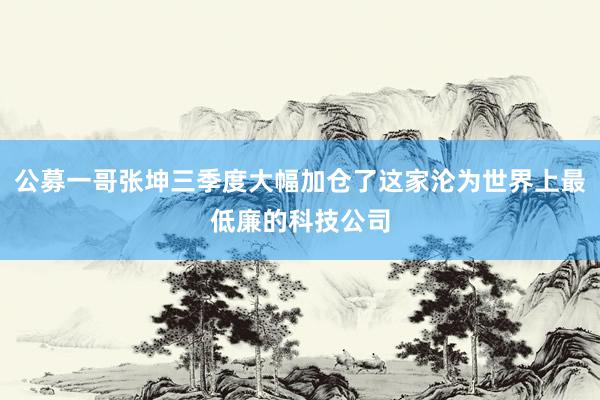 公募一哥张坤三季度大幅加仓了这家沦为世界上最低廉的科技公司